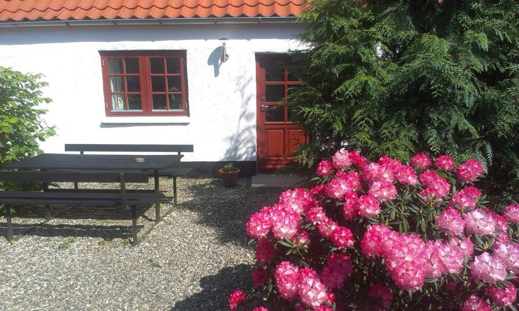 וויבורג Vranum Guesthouse מראה חיצוני תמונה