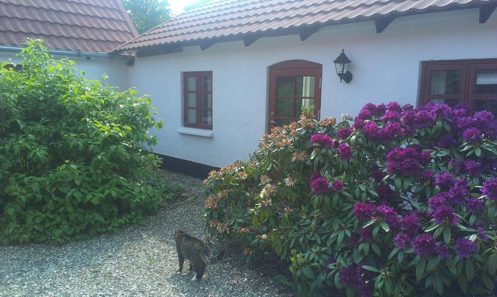 וויבורג Vranum Guesthouse מראה חיצוני תמונה